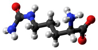 Citrulline - Wikipedia