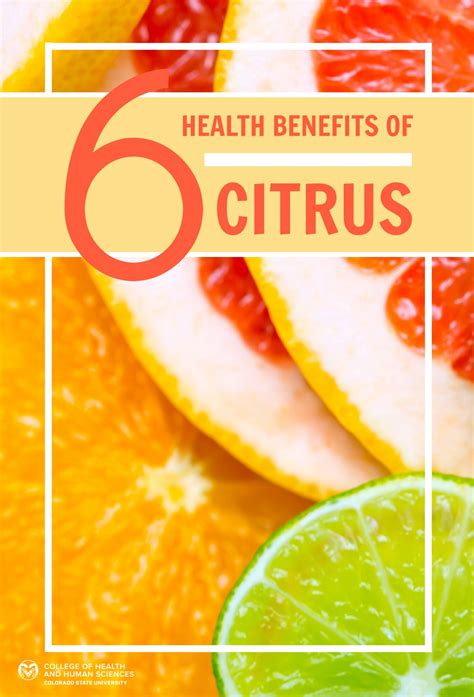 Citrus health. Kirsty Begg/Stocksy United. 1. Apples. One of the most popular fruits, apples are chock-full of nutrition. They’re rich in both soluble and insoluble fiber, such as pectin, hemicellulose, and ... 