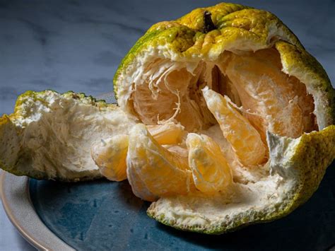 Citrusfrukt ugli