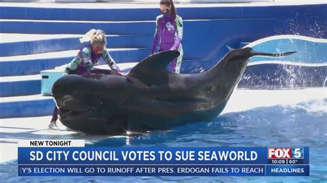 City Council votes to sue SeaWorld San Diego