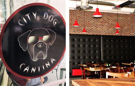 City Dog Cantina