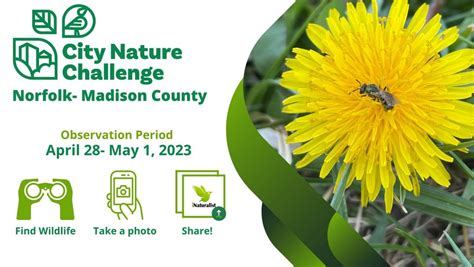 City Nature Challenge Norfolk-Madison County –Outdoor Nebraska Nebraska …