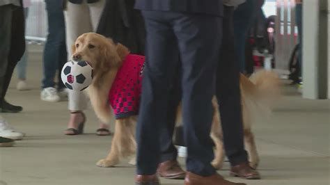City SC and Purina creating pet-friendly spaces at CITYPARK