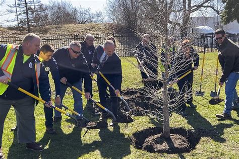 City of Albany receives $75K grant to plant 120 new trees