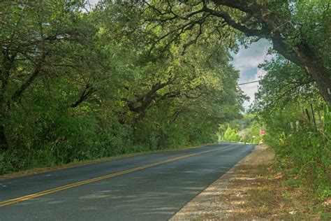 City of Helotes City Arborist