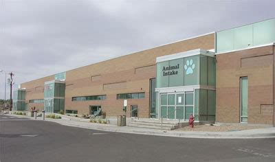 City of albuquerque animal shelter. Things To Know About City of albuquerque animal shelter. 