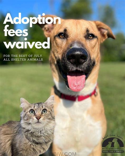 City of bloomington animal shelter. Things To Know About City of bloomington animal shelter. 