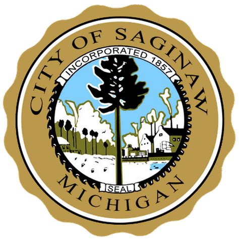 City of saginaw sonar. Things To Know About City of saginaw sonar. 