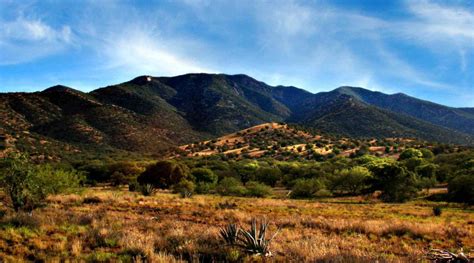 City of sierra vista. City of Sierra Vista | Visit Arizona. Surrounded by towering 10,000-foot mountains and known as the "Humming Bird Capital of the U.S.," Sierra Vista is ideal for outdoor … 
