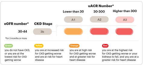 Ckd stage 3b gfr 43: That was when I last... - Early CKD Support