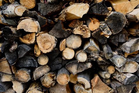 💦 Ckvh Photographer Leaked +18