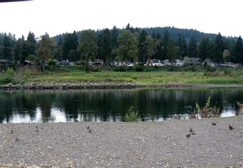 Clackamette park.  You&rsquo;ll see boats, watch for birds like ducks, geese, and maybe even...