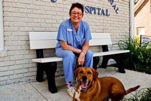 Clairmont animal hospital. Things To Know About Clairmont animal hospital. 