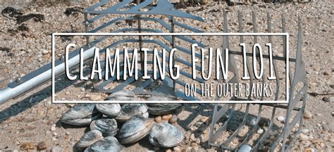 Clam Digging 101 - Outer Banks Coastal Life