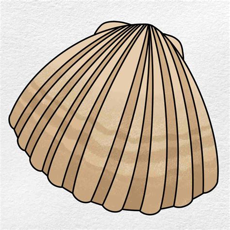 Clam Drawing - HelloArtsy