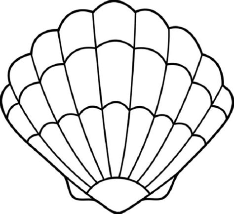 Clam Shell Coloring Pages Seashell Drawing Shell Drawing Seashells Template