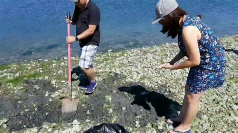 Clam Digging - In this video we show where, when and how to find bay clams at the beach. I provide tips and trick on what to bring, how to find, dig, and pr.... 