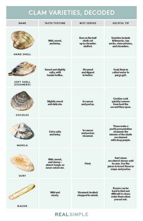 Clam Taxonomy Subclass Heterodonta – clam-like with large hinge teeth Order Veneroidae Family Veneridae Venus or “heart” clam Side view is cardioid (heart-shaped) 53 genera and about 500 species Most are edible and support valuable fisheries and aquaculture industries worldwide 