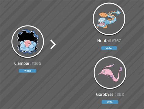 Clamperl s Evolution Into Huntail and Gorebyss Explained