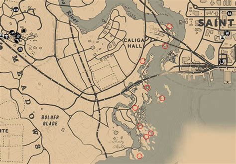 All 19 Moccasin Flower Exotic Orchid Locations in Red Dead Redemption 2.Only 10 Moccasin Flower Orchids are required for the "Duchesses and Other Animals" mi.... 