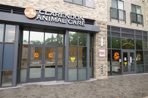 Clarendon animal care. Clarendon Animal Care is exceptionally fortunate to be located in such a pet-friendly and focused community and to have such outstanding animal shelter and rescue organizations as partners - it truly makes our lives easier and even more rewarding on a regular basis! 