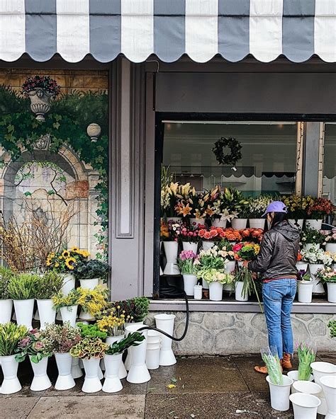 Clarissa is done flower shopping and masturbates