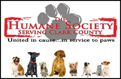 Clark county humane society. Things To Know About Clark county humane society. 