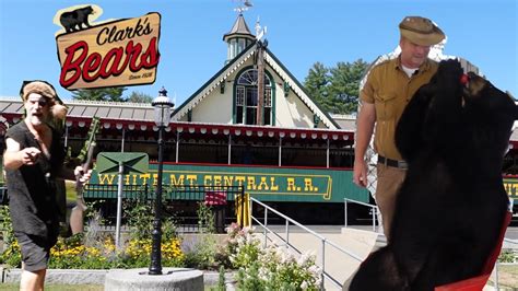 Clarks trading post. Victoria the bear, who died Monday, was part of a show at Clark's Trading Post in the White Mountains town of Lincoln. The show features bears rolling barrels and drums, and riding swings and ... 