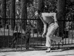 Classical Music Inspired by Dogs: Eight Great Pieces - Interlude