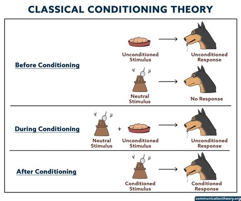 Classical conditioning experiments
