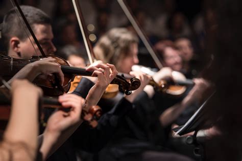 Classical music radio stations. Listen to free HD streaming classical music from the largest classical music library online. To listen on the go, download our mobile radio app. 