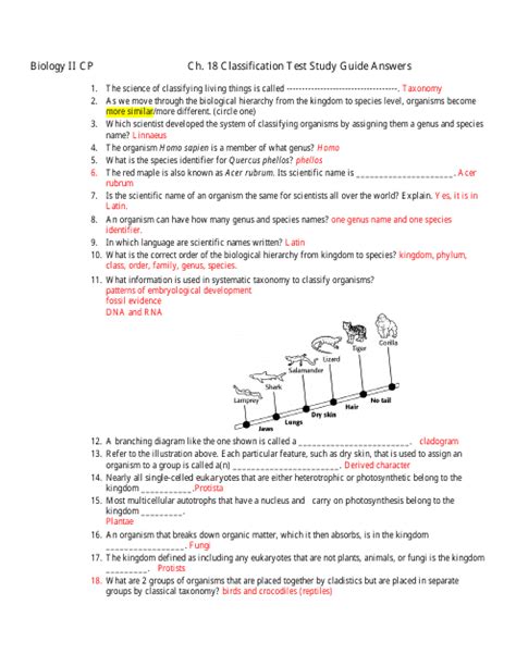 Classification Test Answer Key