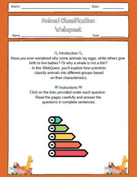 Classification To Answer Webquest Key