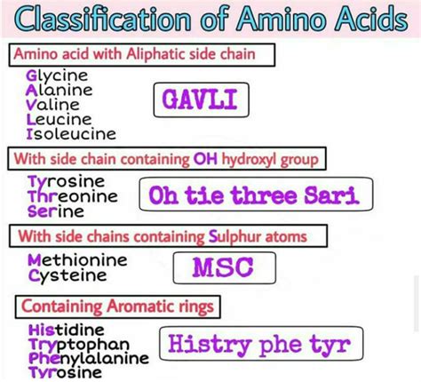 Classification of Amino Acids - Types, Functions, and Mnemonics for Easy Learning (2025)