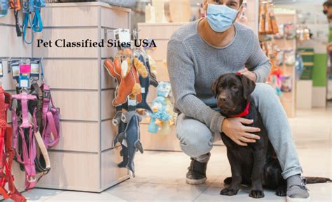 Classifieds pets. Things To Know About Classifieds pets. 