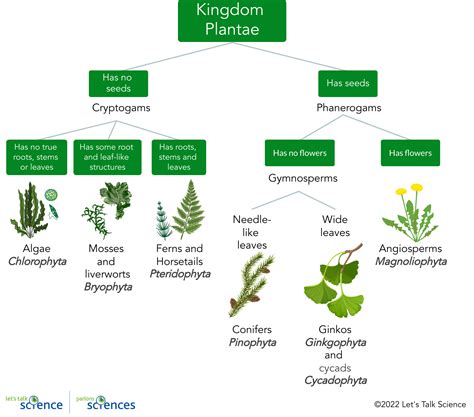 Classifying plant communities and