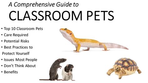 Classroom pets. What are the benefits of having classroom pets for children? Classroom pets introduce children to values of responsibility and taking care of a living creature. This can be good for their social development and awareness of others’ needs. Feeding and stroking a classroom pet, and clearing out its area, can also create a sense of teamwork ... 