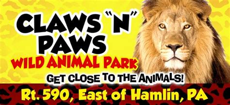 Claws n paws. POCONOS: Claws 'N' Paws Animal Park in the POCOCNO tourist region. Wallenpaupak Scranton, Pocono, Wilkes Barre, Steamtown, Jim Thorpe, pa, Pennsylvania, tour, bus, … 