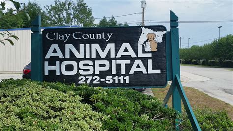 Clay County Animal Hospital Orange Park FL - Facebook