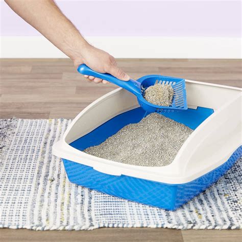 Clay cat litter. Shop online for clumping, scented, low dust, and low tracking clay cat litter at Petsmart. Save 15% with code SAVE15 and earn 1K Treats points on your first … 