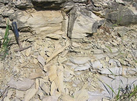 (a) Unstratified clayey limestone, Borehole Severo-Kalinovaya 28, interval 3180-3185 m; (b) clastic limestone, Borehole Severo-Kalinovaya 22, interval 3020-3025 m; microbial-detrital cyanobiont ...