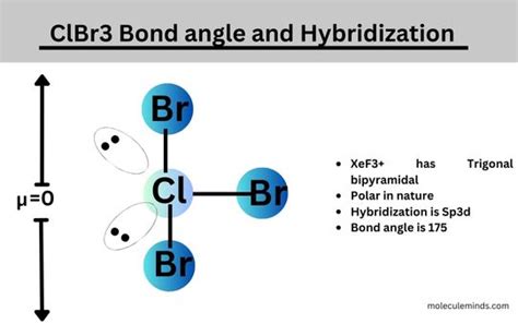 5 days ago · For BrCl3, a single shared covalent bond for each is f