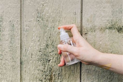 Clean mold. Plus, how to tell if it's a DIY job, or time to call a professional. That green stuff that grows on old bread—that’s mold, right? What about the black coating on damp parts of a ba... 