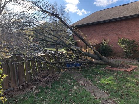 Clean up begins after scattered storm damage in the Metro East