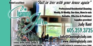 Cleaner Job in Tea, SD at Cleaning by Judy Inc.