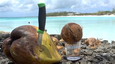 Cleaning Coconuts For Beginners - YouTube