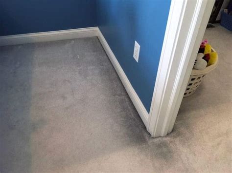 Cleaning Dark Edges on Cream Carpet - DoItYourself.com