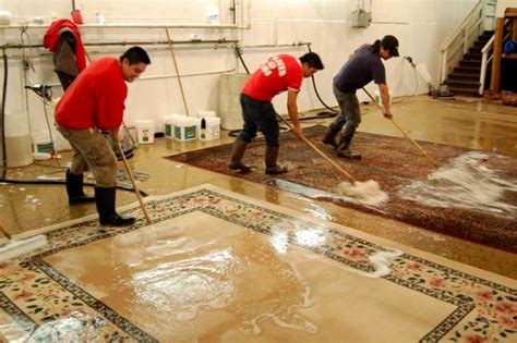 Cleaning oriental rug. Feb 23, 2022 · Here are the steps: With a wet/dry vacuum (of any size), add your acidic cleaner to cold water. Spray the area you’re trying to spot clean (most wet/ dry vacuums have a sprayer attached) Let the cleaner soak into the rug for 10-20 minutes to loosen up the soil and stain. 