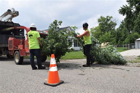 Cleaning up after storm damage in the Metro East