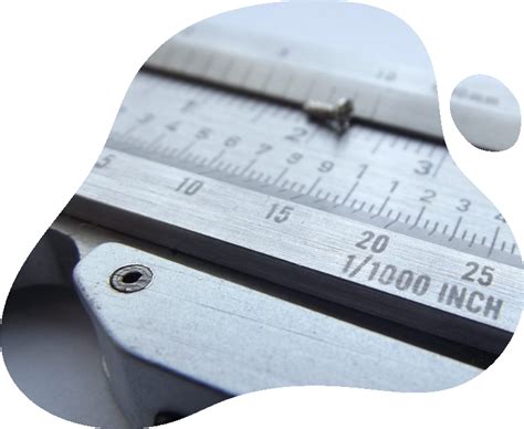 codini.rgarabwor.edu.pl. 